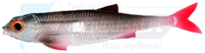 PRZYNĘTA FLAT FISH MIKADO 5.5cm ROACH
